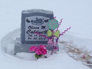 1535451_10152081836477416_1586102123_n