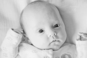 181478_456043931076534_892345330_n